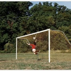 SportsPlay Inc Official Steel Soccer Goal (Pair)