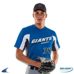 Champro Sports Relief V-Neck Jersey - Forest Green, Graphite, White - Youth Xl