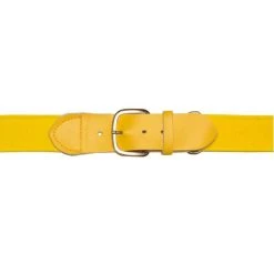 Champion Sports Uniform Belt Gold Youth
